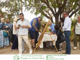 Festival Mar de Tethys 2026 - Bodega Vetas